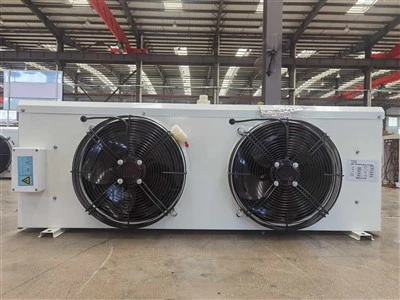 Varanlegur 3400W DJ20 loftkælir fyrir 20㎡ kæligeymslur